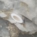 Тапет 5898-03 - на супер цени от: 11.71€ (22.90лв.) Тапет 5898-03 - на супер цени от: 11.71€ (22.90лв.)